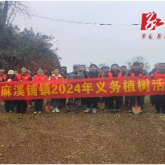 麻溪铺镇：植树护绿 共筑生态文明新篇章