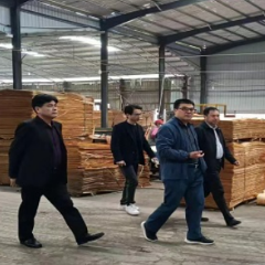 沅陵县林业局：优化营商环境 助力复工复产