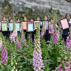 鹤鸣山小学：特色劳动教育与辰州剪纸传统文化完美融合