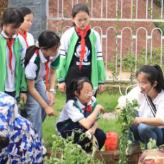 凤鸣学校：百草润校 以草育人 传承文化经典