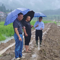 【防汛救灾一线】沅陵县农业项目服务中心积极开展洪灾在建项目核查