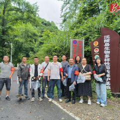 借保局开展环境卫生清理活动
