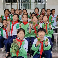 沅陵县凤鸣学校：制作药膳粽   感受传统文化