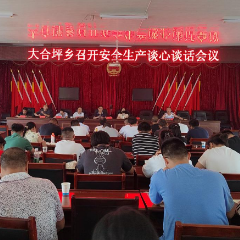 大合坪乡召开安全生产谈心谈话会议 共筑安全防线