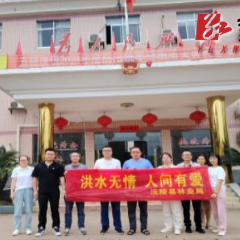 【防汛救灾一线】沅陵县林业系统组织开展防汛救灾捐赠活动