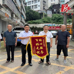 【防汛救灾一线】沅陵县沅陵镇：处理危树除隐患 为民解忧保平安