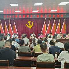 沅陵县杜家坪乡开展政务公开主题日活动