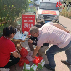 战秋“虎”沅陵农业部门千里巡园检果护安澜