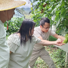 情系岩板铺 共筑振兴梦——怀化市人大常委会驻沅陵县岩板铺村工作队纪实