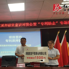 沅陵县举办专利转移转化 知识产权质押融资“专利助企”活动