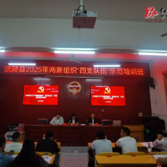 四支队伍集中“充电”  沅陵县两新组织培训聚焦能力提升