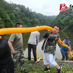 沅陵县七甲坪镇：全力以“复” 按下复工复产“快进键”