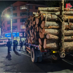 沅陵交通：开展“打非治违”百日联合执法专项整治行动