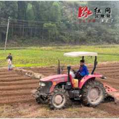马底驿乡抢抓秋收收尾阶段 统筹推进秸秆处置与乡村生态管护