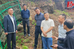 陈星调研溶洞污染排查整治与秸秆禁限烧管控等重点工作