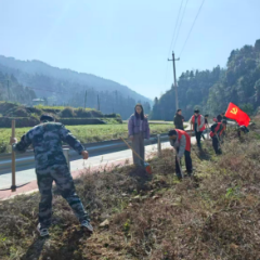 火场土家族乡开展志愿植树活动