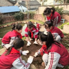 荷花池小学开展“3·12”植树节劳动实践活动