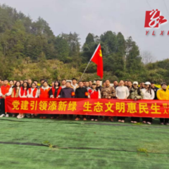 明溪口镇：党建引领添新绿 生态文明惠民生