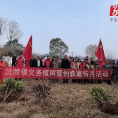 植绿兰溪口 法润乡村兴：沅陵司法所积极参与义务植树活动
