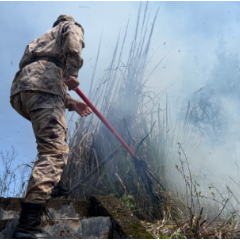以练为战砺精兵 以防为先守安澜：大合坪乡开展森林防灭火与汛期防汛综合应急演练