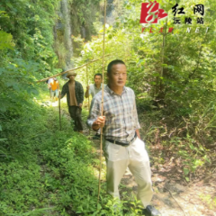 三方合力四昼夜 耄耋老人平安归——八旬老人村中走失,筲箕湾镇辅警护林员村干部合力寻回失联老人
