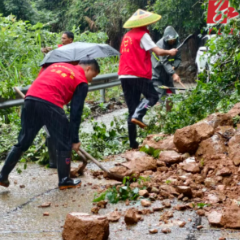 迎战强降雨!陈家滩乡全力筑牢防汛安全防线