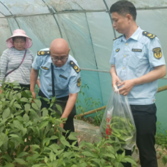 【护航高考】沅陵开展果蔬农产品基地巡检 从源头上筑牢考生食用农产品质量安全防线 确保高考顺利进行