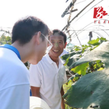 党建领航葡萄产业 研学赋能乡村振兴:湖南师大附中学子走进落仙处村开展社会实践