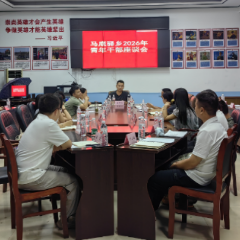 青春聚合力 实干启新程 沅陵县马底驿乡召开青年干部座谈会