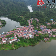 沅陵县肖家桥乡:渔茶绘就振兴图 库区奋进启新程