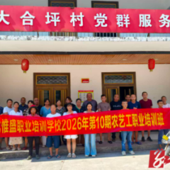沅陵县大合坪乡:党群搭台育技能 农技赋能促振兴