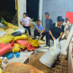 大合坪乡：灾后抢收减损保粮仓 干群同心自救暖民心