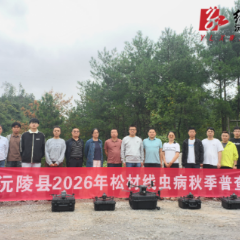 沅陵县全面启动2026年度松材线虫病疫情秋季普查工作