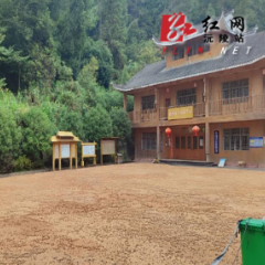 晒山核桃 兴特色产业 党群阵地赋能乡村振兴：明溪口镇胡家溪村用好党群服务中心助农增收