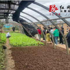 沅陵镇黄草尾社区:农技培训进社区 惠民兴农促增收