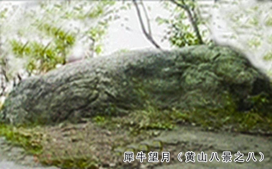 黄山八景之犀牛望月.jpg