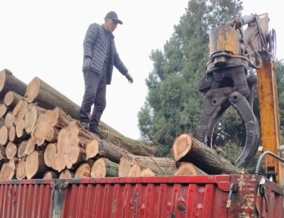 e80670add2e44985a4907ac8d9f5be4a.jpg e80670add2e44985a4907ac8d9f5be4a.jpg