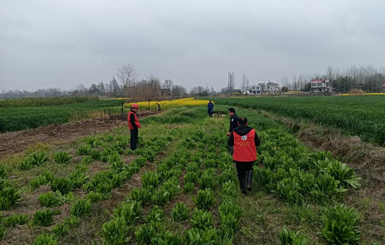 7dad3a1a52404499bf56cba5cbde2834.png 7dad3a1a52404499bf56cba5cbde2834.png