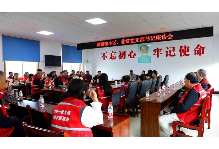 深柳镇召开小区、巷道党支部书记座谈会