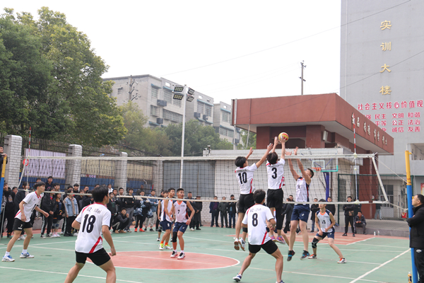 排球比赛现场.jpg 排球比赛现场.jpg