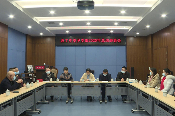 农工党会议.jpg