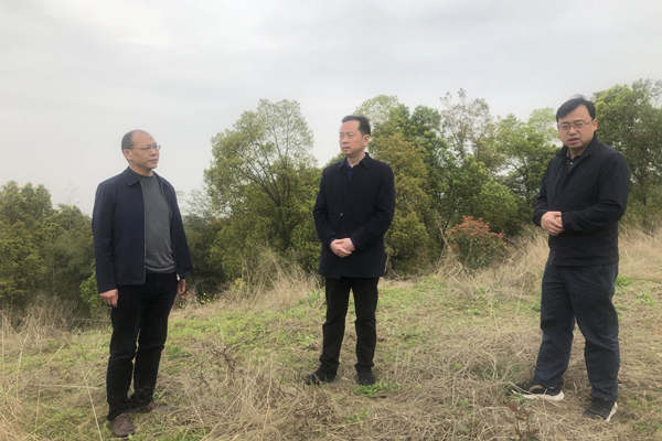 刘德平调研文物保护和文旅融合工作