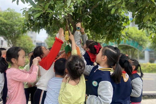 围庵小学.jpg