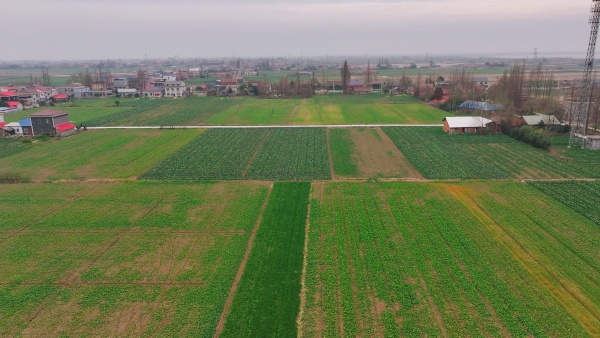 DJI_20250106152626_0323_D.MP4_20250206_095525.870.jpg