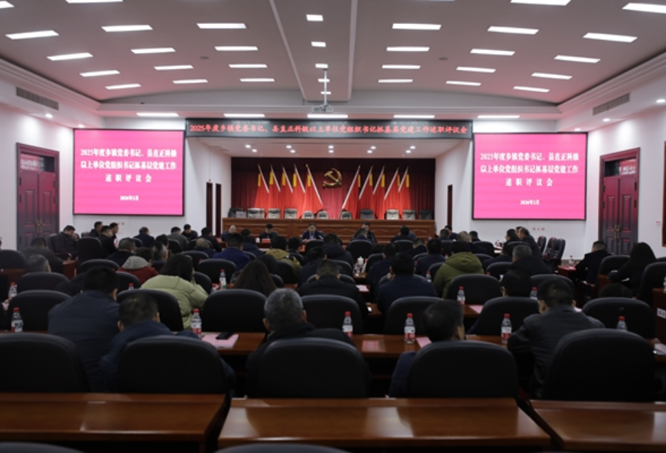 安乡县召开2025年度乡镇党委书记、县直正科级以上单位党组织书记抓基层党建工作述职评议会 