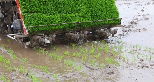 微信图片_2026-04-08_102558_320.png 微信图片_2026-04-08_102558_320.png