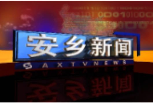 安乡：政策组合拳激活县域微循环 扩容内需赋能高质量发展
