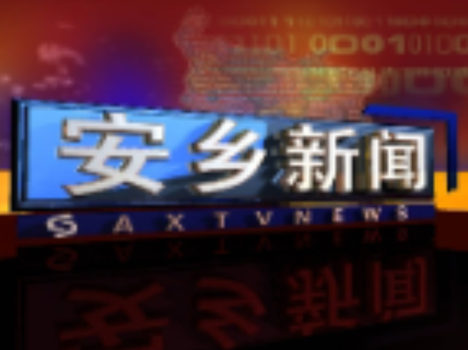 沈裕谋来安调研