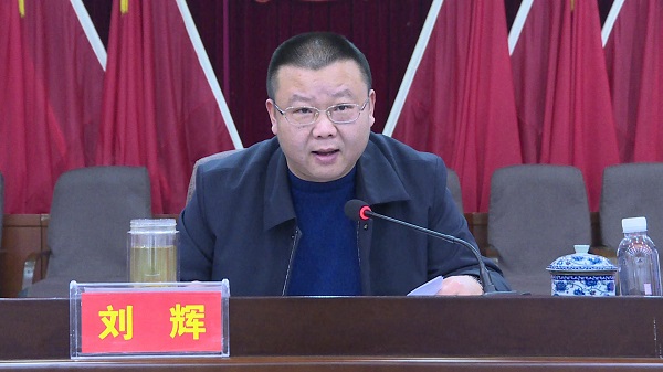 深柳镇党委书记刘辉作经济工作报告