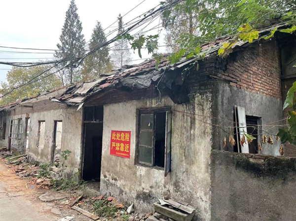 深柳_副本.jpg 深柳_副本.jpg